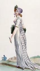 Ladies Walking Dress, illustration from 